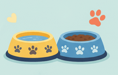 Food and water bowls