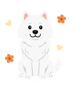 White fluffy dog